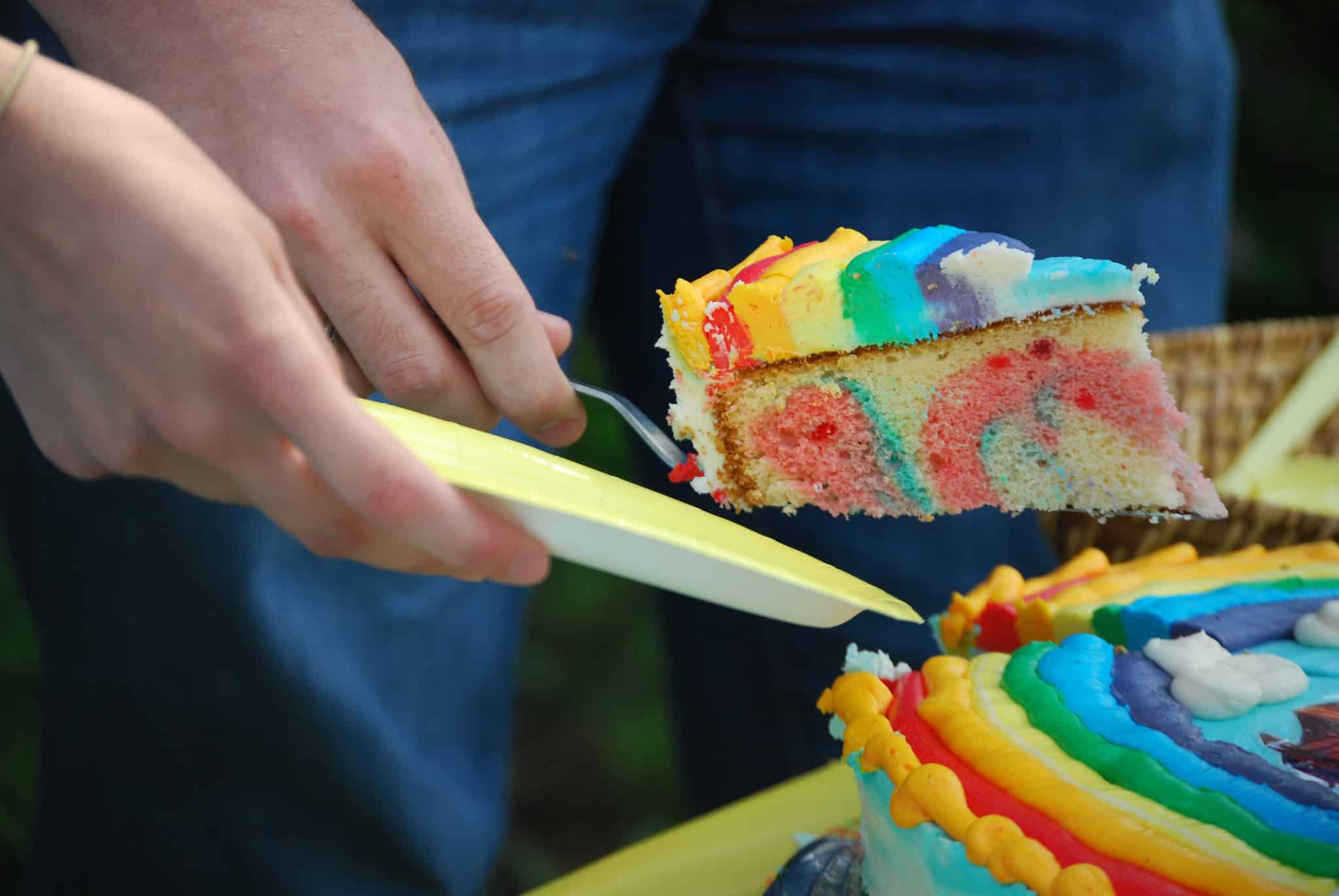 Toaster OvenBaked Rainbow Cheesecake