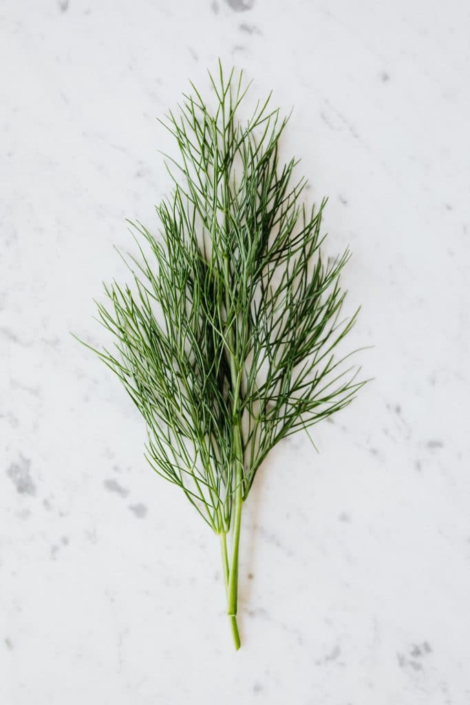 Dill