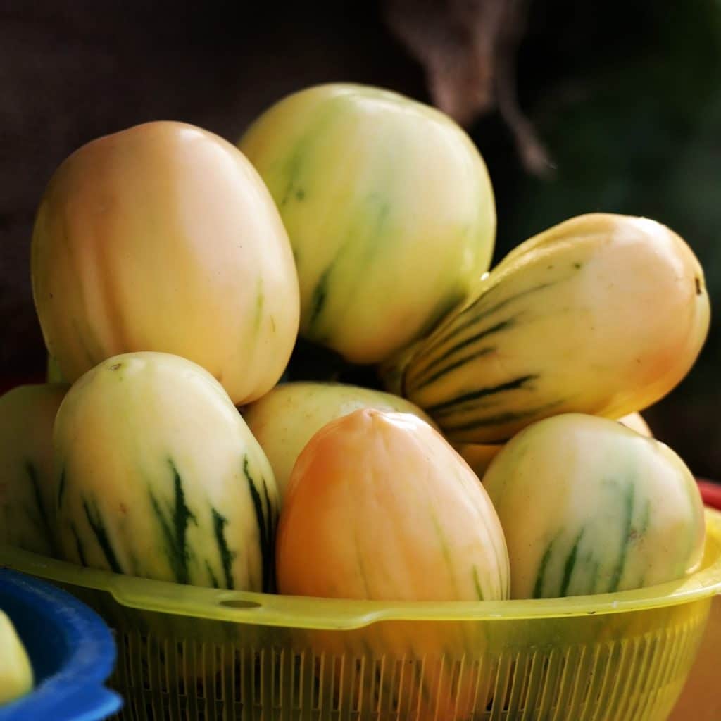 Egg fruit