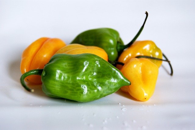 Habanero Pepper