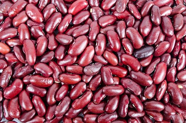 Kidney-Bean