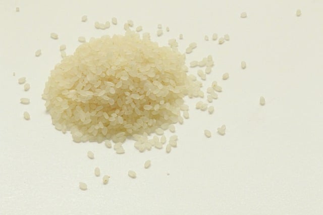 Koshihikari