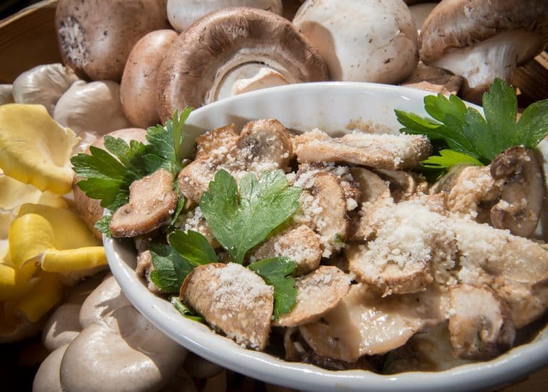 Portobello Mushroom Chicken Recipe