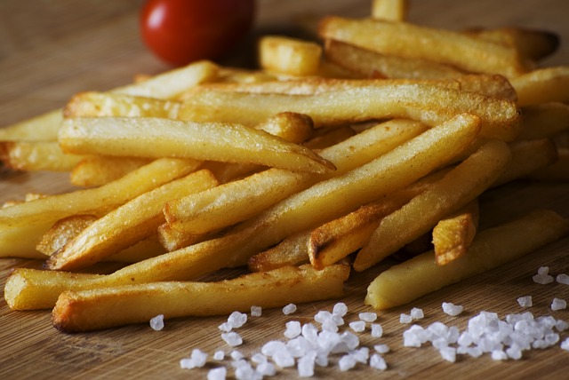 Gourmia Air Fryer French fries