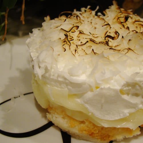 Pioneer Woman Coconut Custard Pie