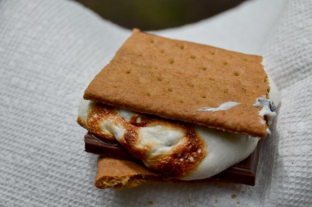The Secret to makeː Microwave S’mores