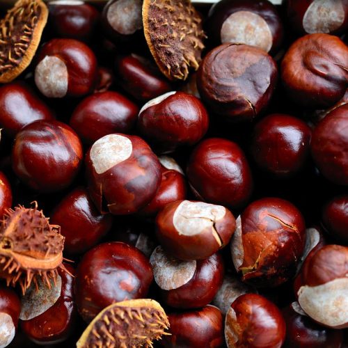 microwave chestnuts