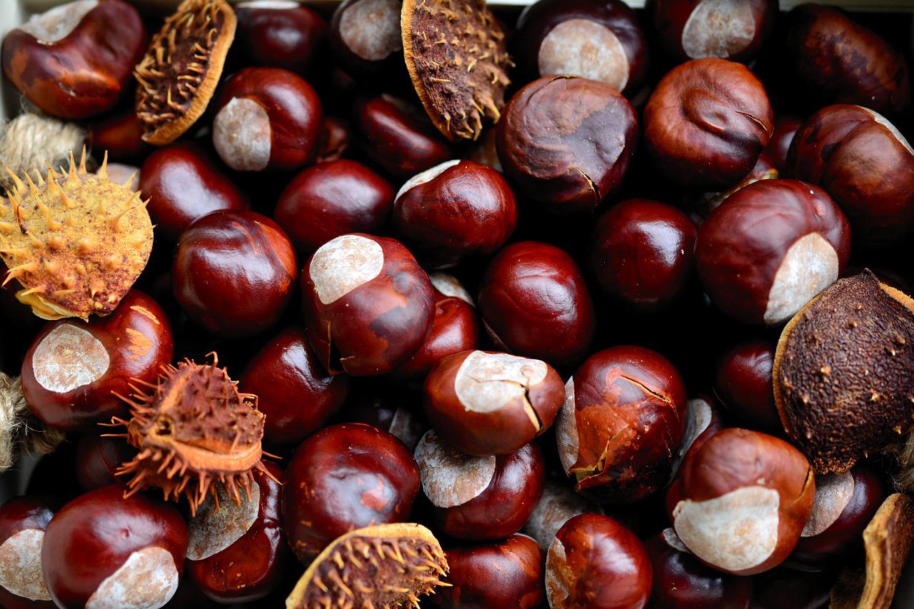 microwave chestnuts