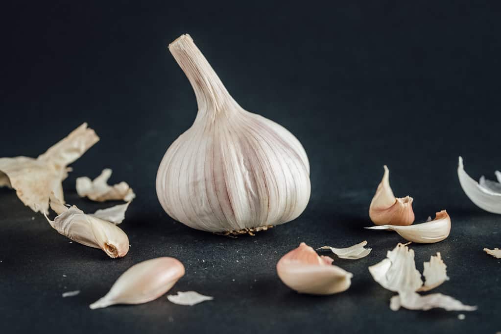 How Many Cloves Are In A Head Of Garlic