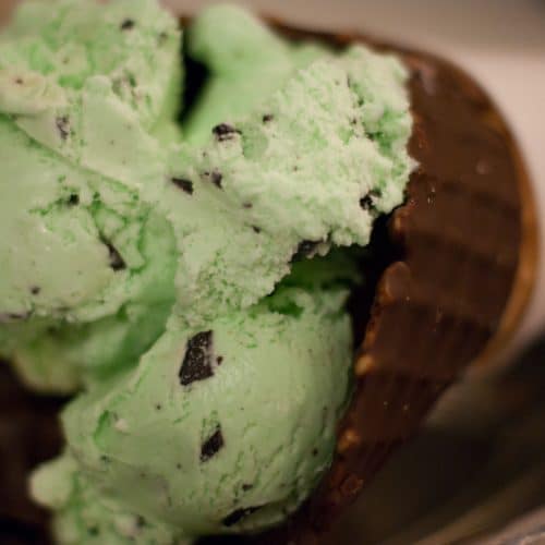 Mint Chocolate Chip Ice Cream