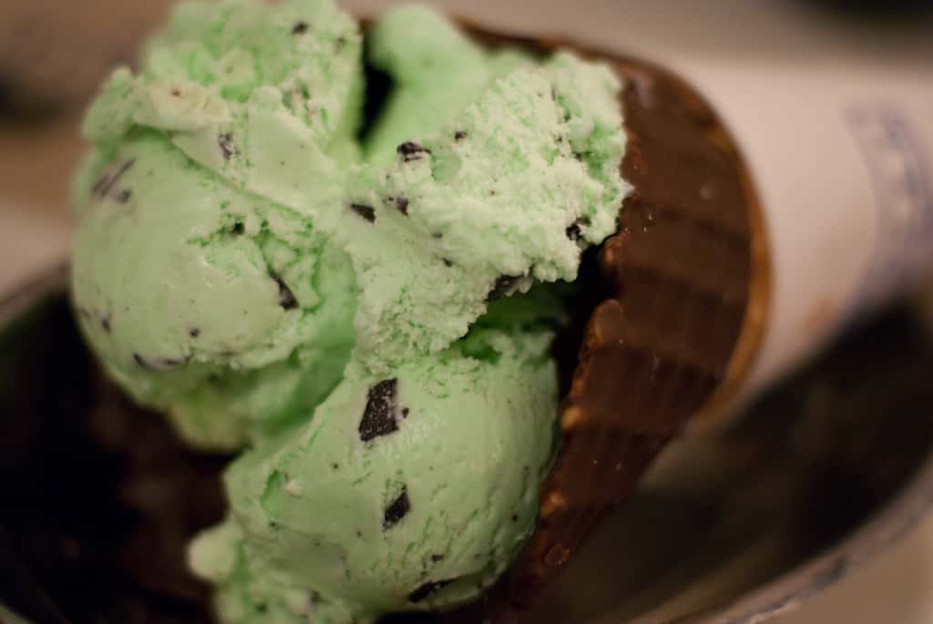 Mint Chocolate Chip Ice Cream