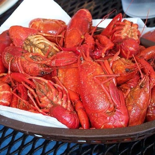 Crawfish Boil