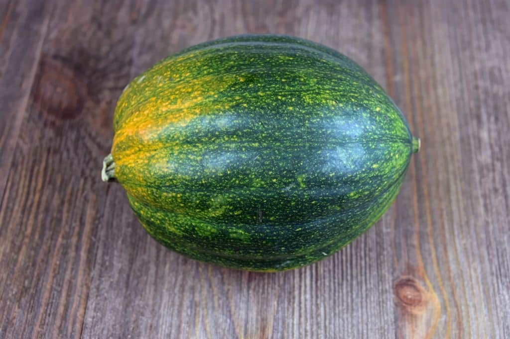 Acorn Squash