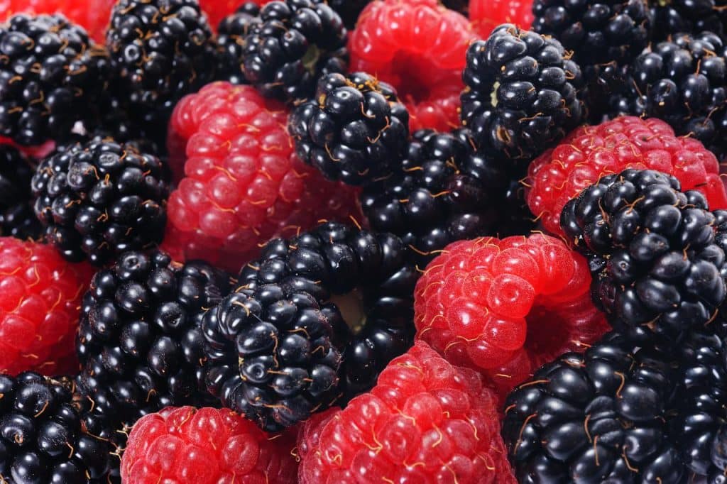 Blackberries2