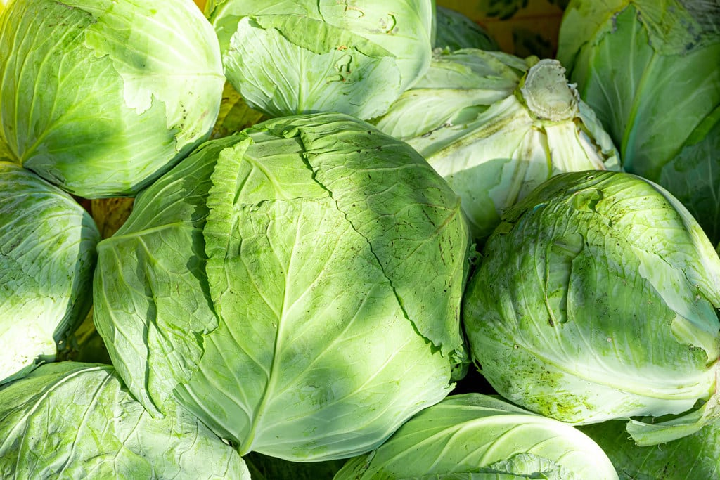 How To Tell If Cabbage Is Bad? 1