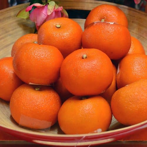Can Of Mandarin Oranges