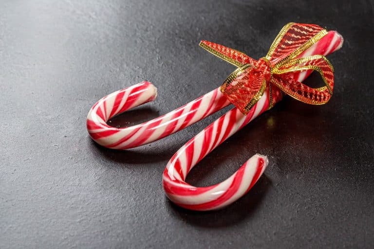 How Long Do Candy Canes Last?