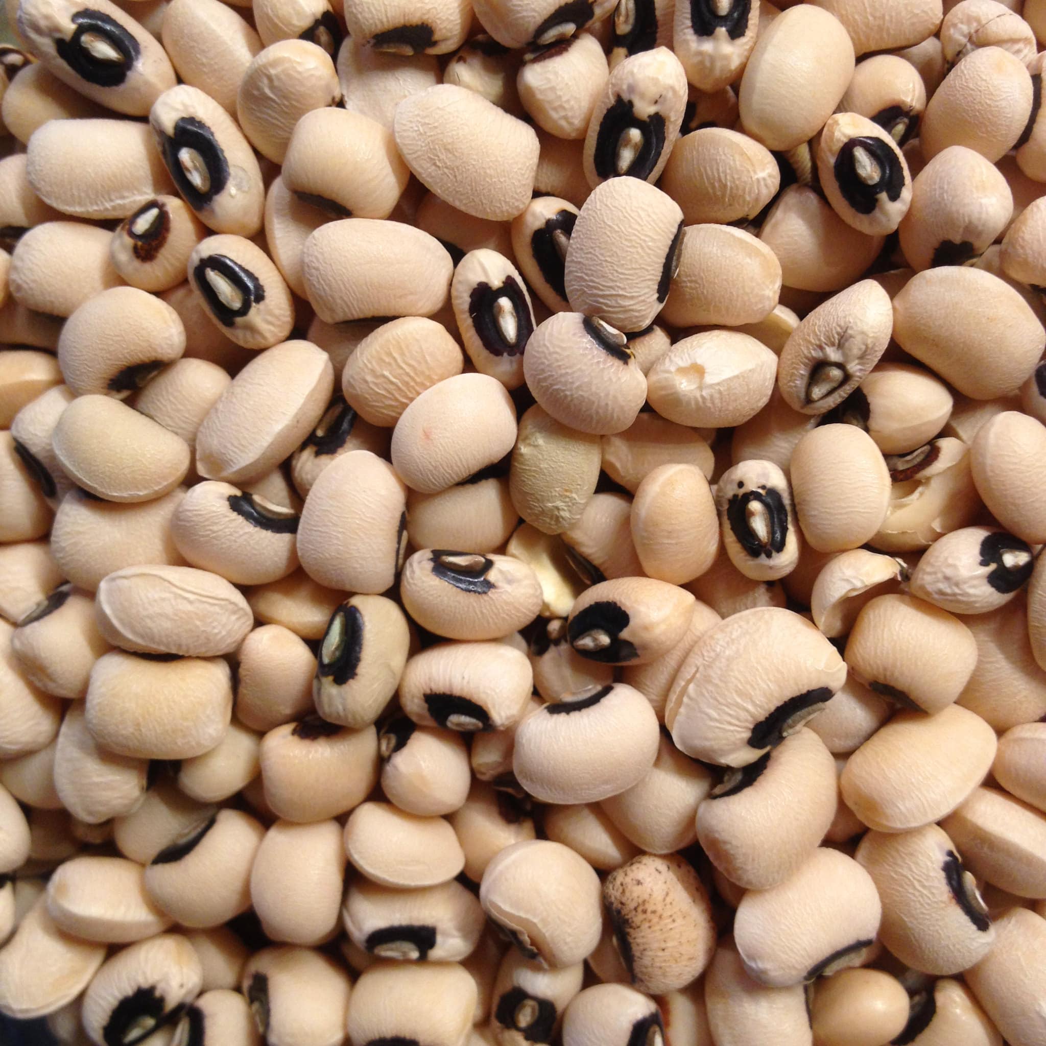 Canned Black Eyed Peas