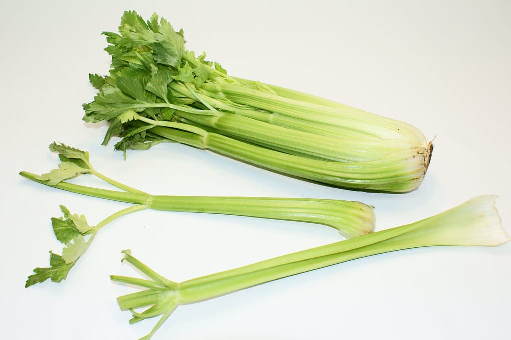 Celery