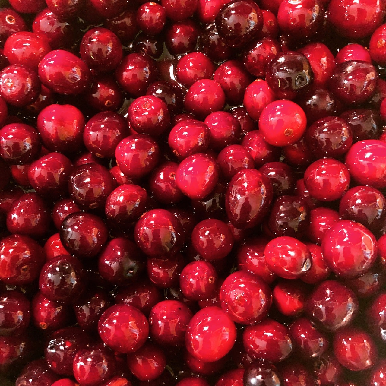 How Long Does Cranberry Sauce Last?