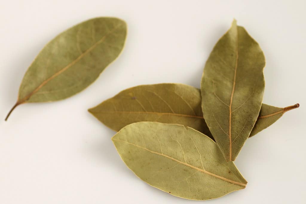 Do Bay Leaves Go Bad