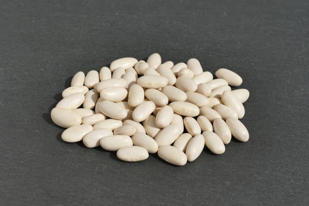 Dried Cannellini Beans