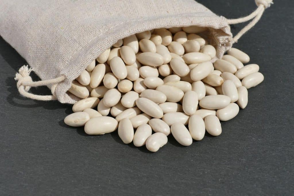 Dried Cannellini Beans2