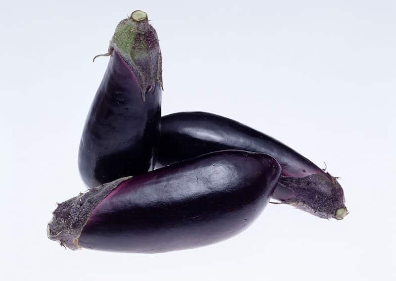 Does Eggplant Go Bad? 1