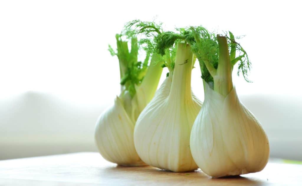 What Is Fennel? 1