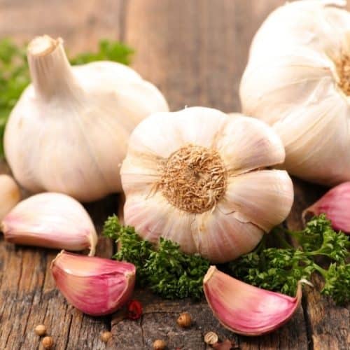 Garlic