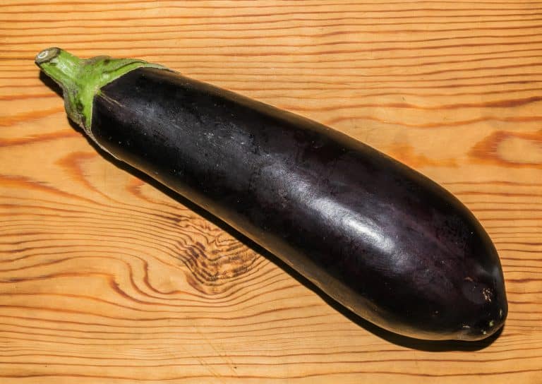 How To Tell If Eggplant Is Bad?