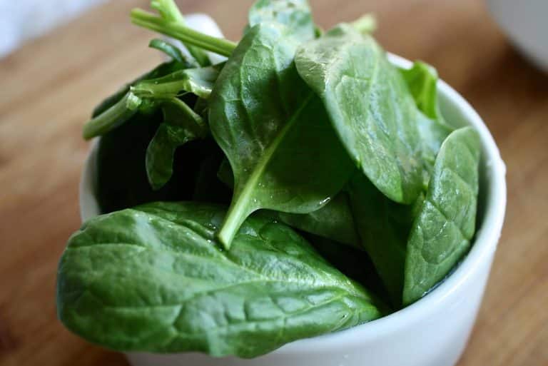 Is Canned Spinach Good For You?