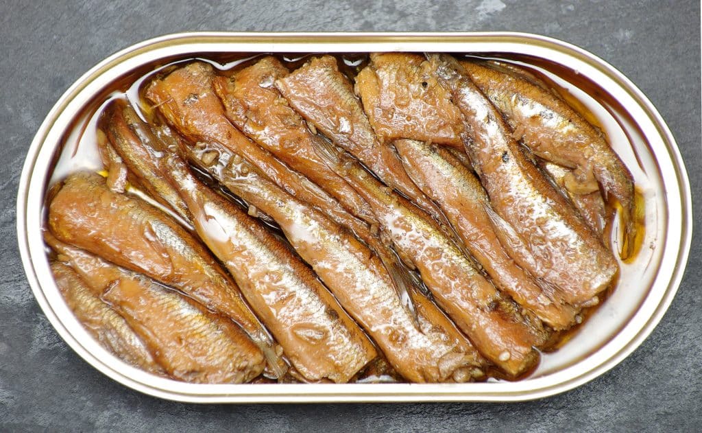 Canned Mackerel? 2