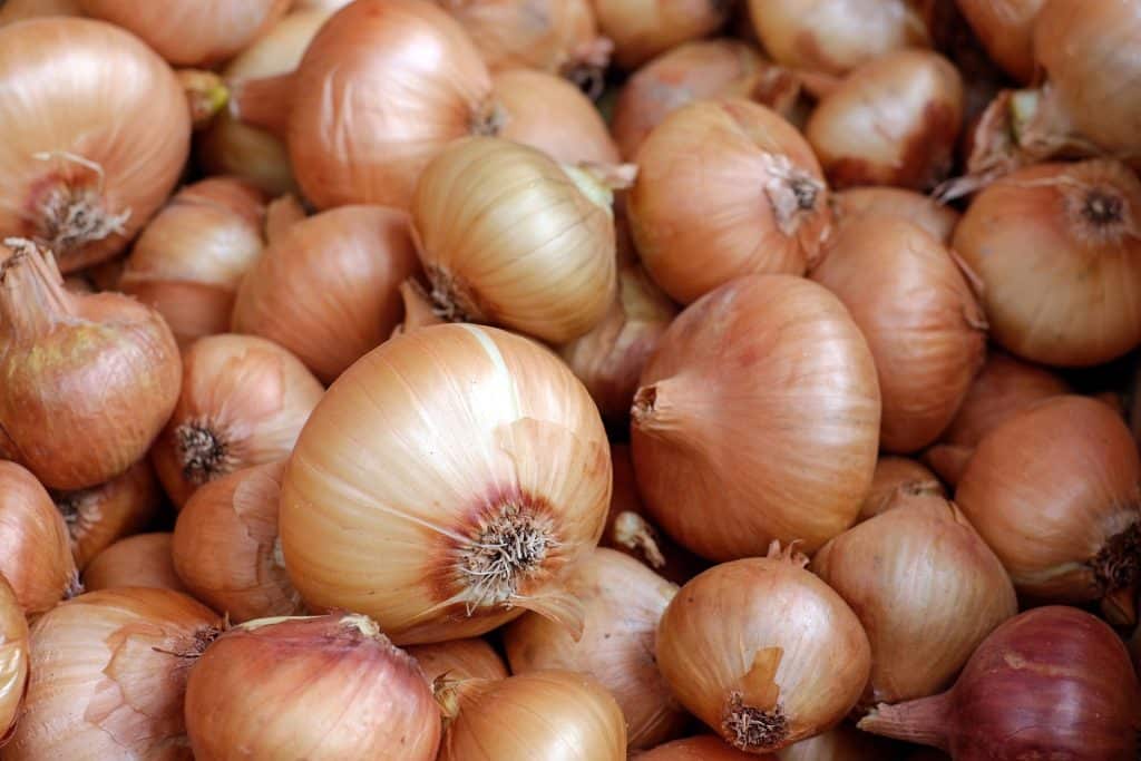 Where Did Onions Originate? 2