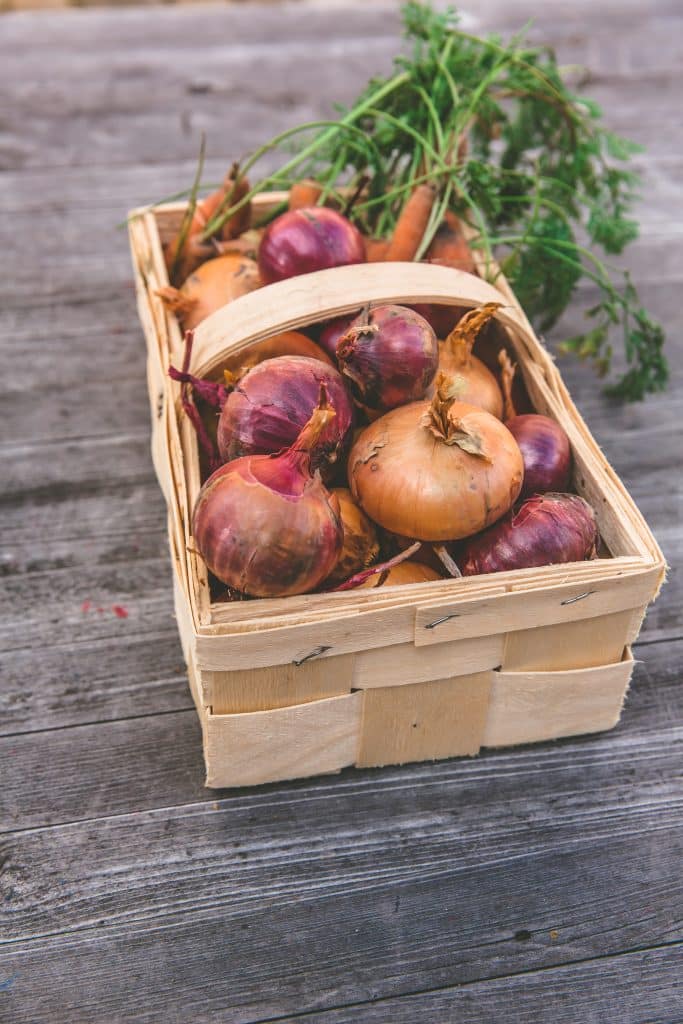 Where Did Onions Originate? 1