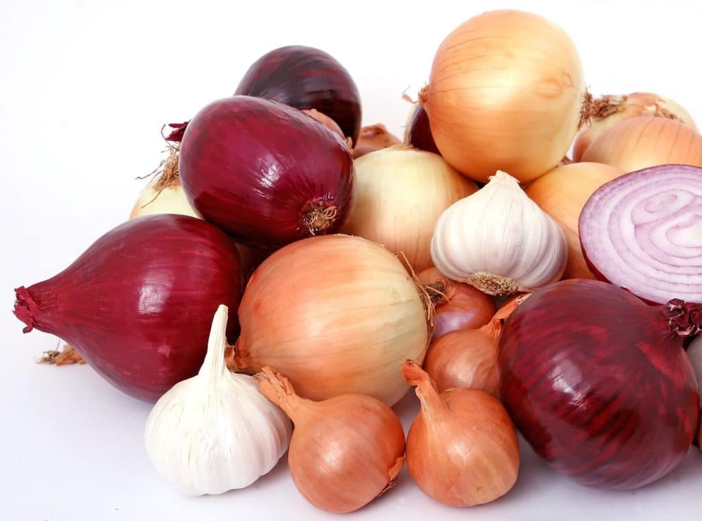 Onions2