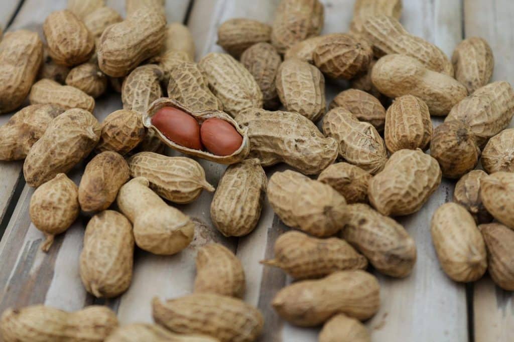 Peanuts