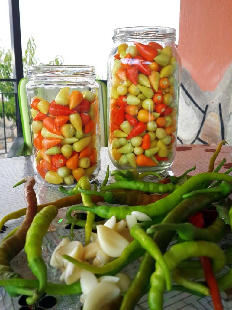 Refrigerated Pickled Peppers? 1