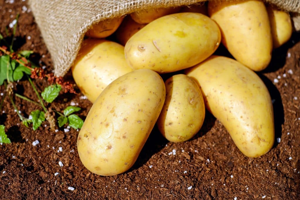 Do Potatoes Go Bad? 2