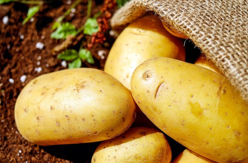 Can Potatoes Go Bad? 1