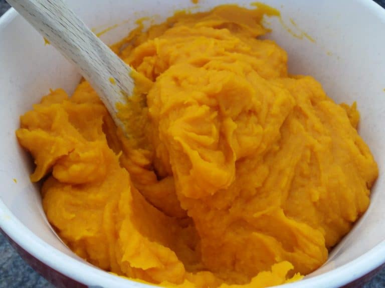 How Long Does Pumpkin Puree Last?