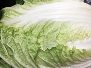 Roman lettuce?