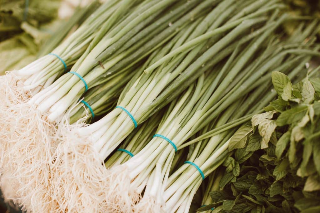 What Are Scallions? 1