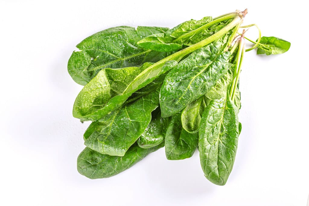 How To Tell If Spinach Is Bad? 1
