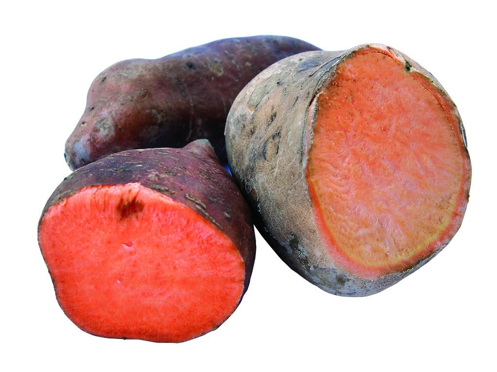How To Tell If A Sweet Potato Is Bad? 1