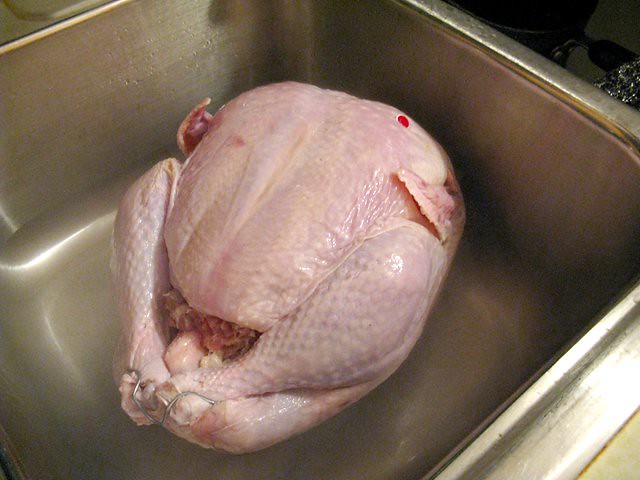 Thawed Turkey