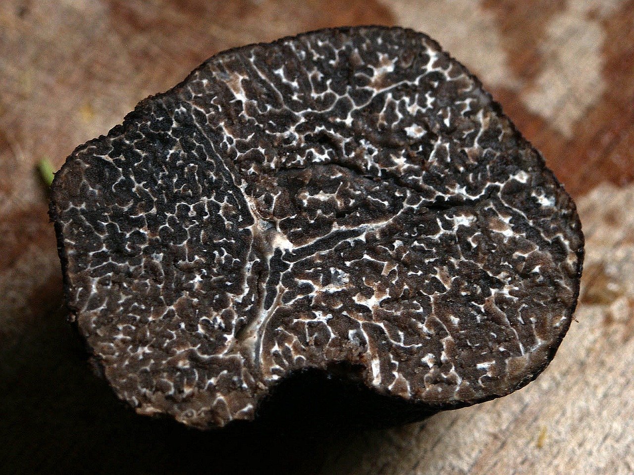 How Long Do Truffles Last?