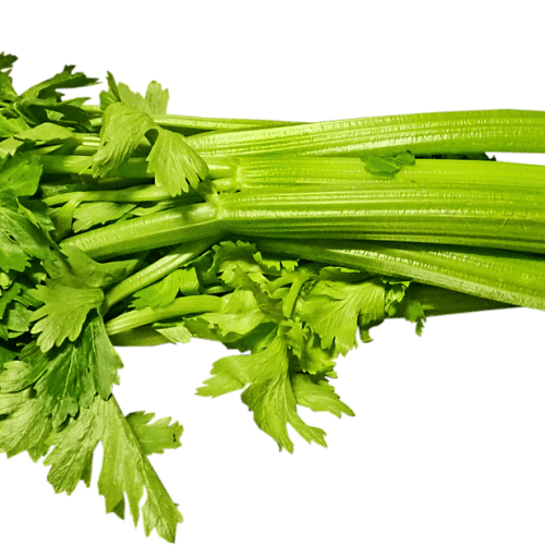 Celery Salad With Apples