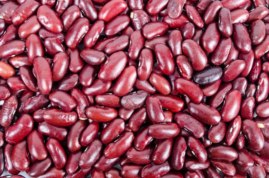 dry beans