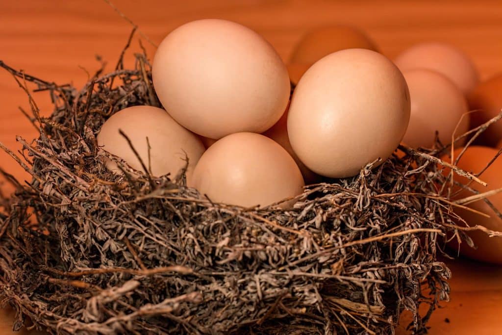 shelf life of eggs